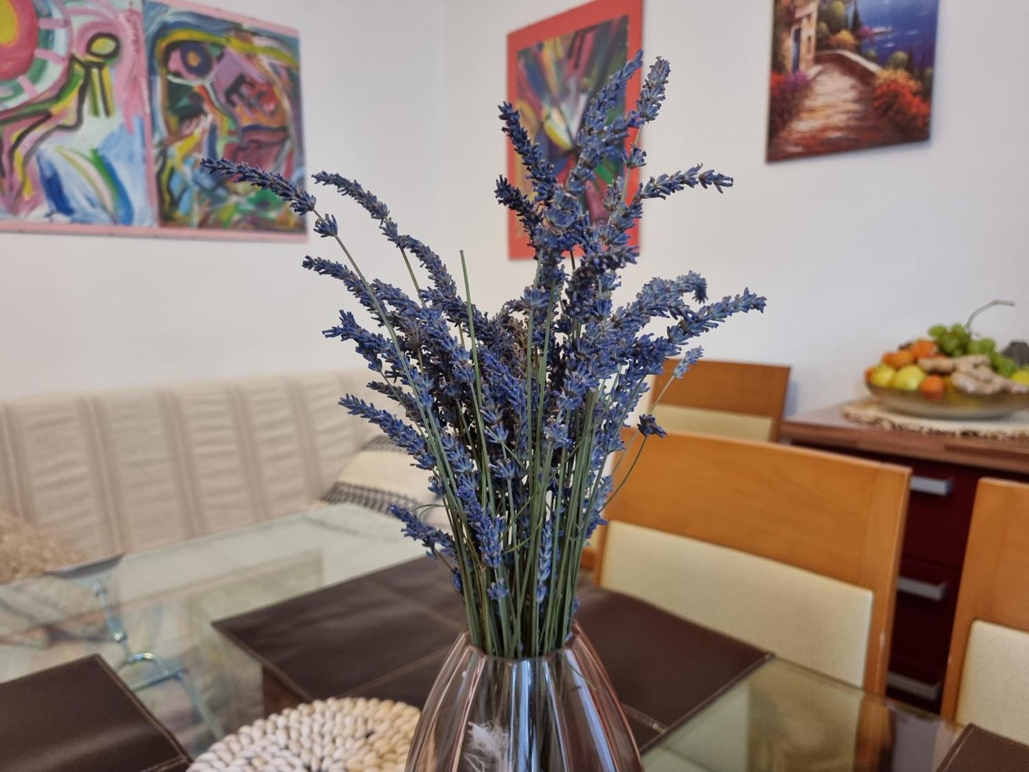 ***Apartment Magic &Summervibes*** Rijeka Exteriör bild