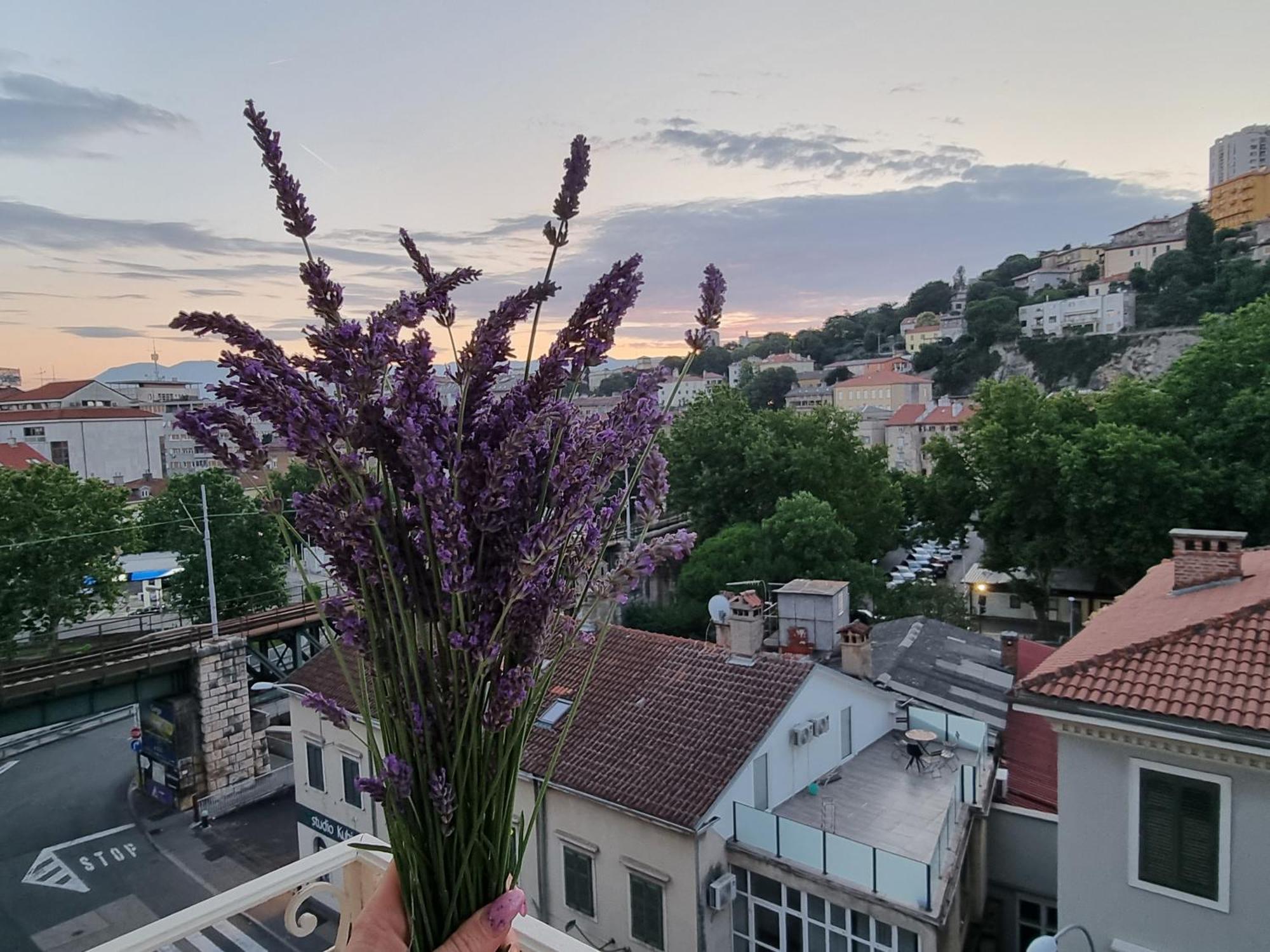 ***Apartment Magic &Summervibes*** Rijeka Exteriör bild